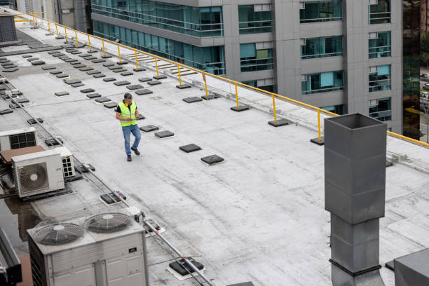 Best Roof Moss and Algae Removal  in Dennison, OH